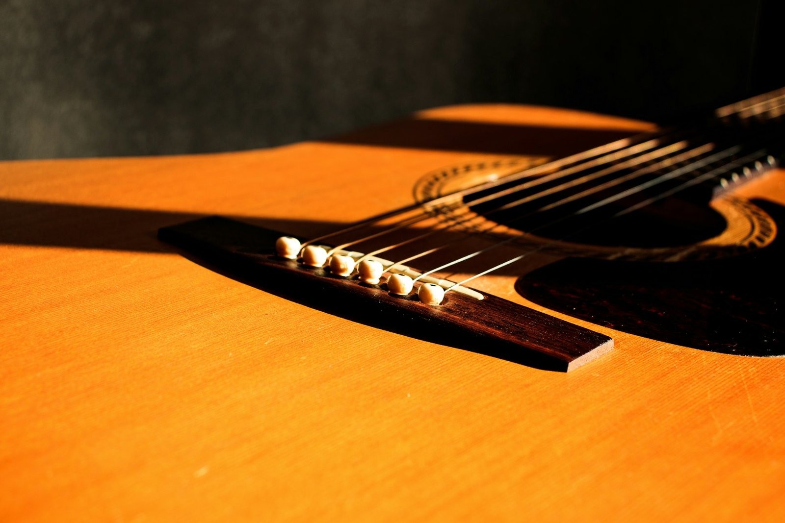 Close-up of an acoustic guitar bridge, bridge pins and strings