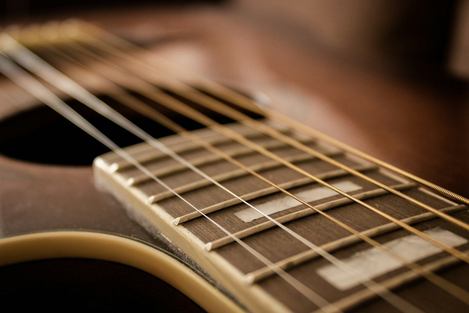 Close-up of an acoustic guitar neck, frets and strings