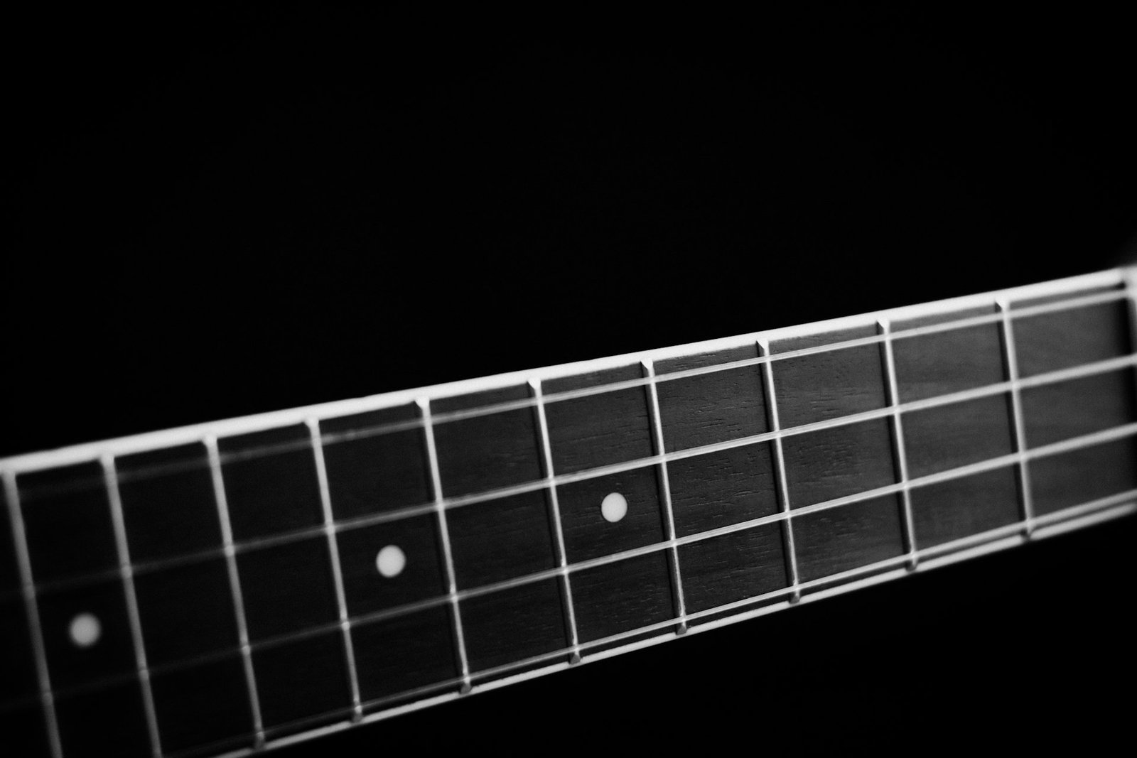 Black and white close-up of a guitar neck and strings