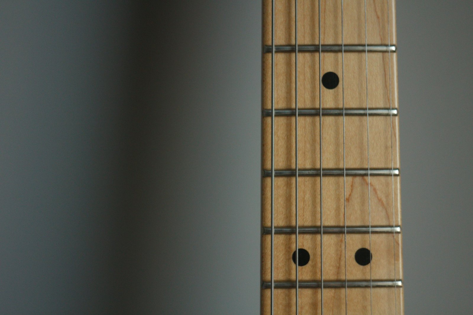 Close-up of frets and position markers on a maple fretboard