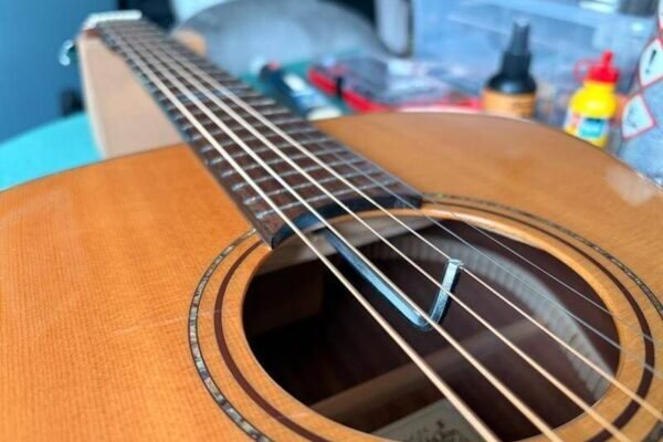 Guitar Truss Rod Adjustment and Neck Relief Guitar Truss Rod Adjustment and Neck Relief